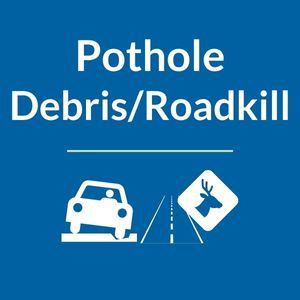 Pothole Roadkill Debris service request