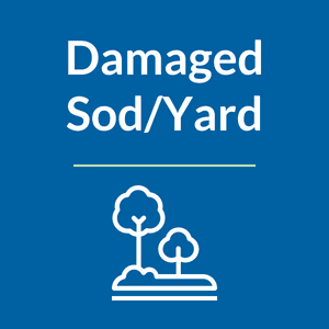 Damaged sod, damaged yard Opens in new window